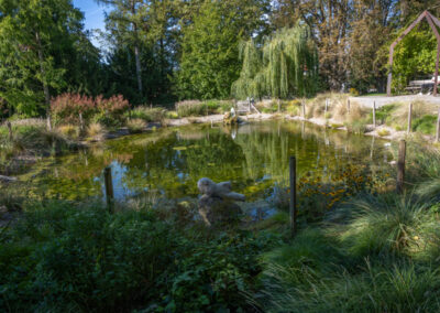 Teich im Schlosspark 4804